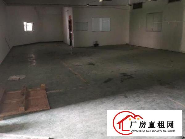  红鑫实业，凤岗房源，占地面积2w多平方