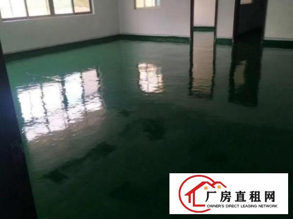  红鑫实业，凤岗房源，占地面积2w多平方