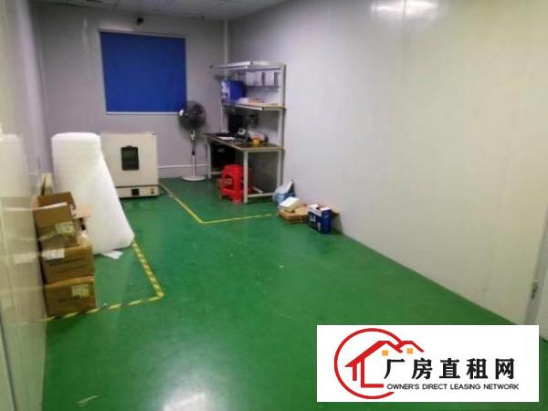  凤岗镇五联村面积1300平