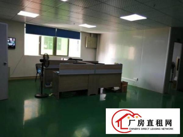  凤岗镇五联村面积1300平
