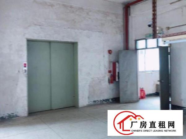  两层厂房，配2米电梯，12个宿舍。