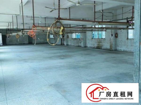  两层厂房，配2米电梯，12个宿舍。