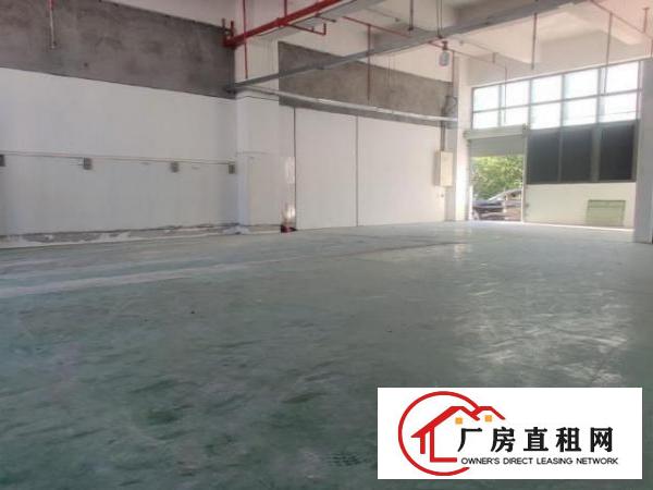  出租凤岗镇金凤凰工业区