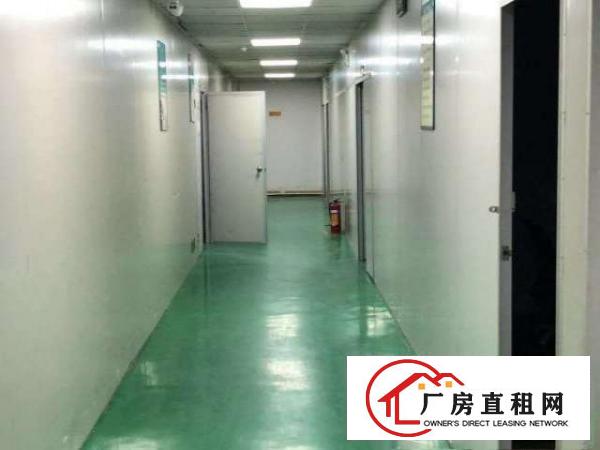 凤岗镇油甘埔厂房出租