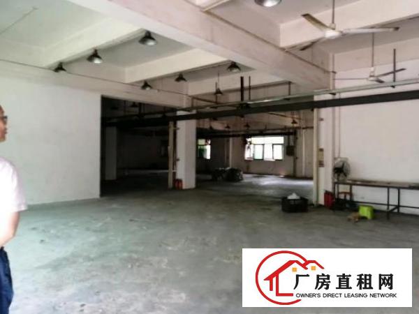  凤岗雁田原房东一楼带牛角1000平方可分租300平