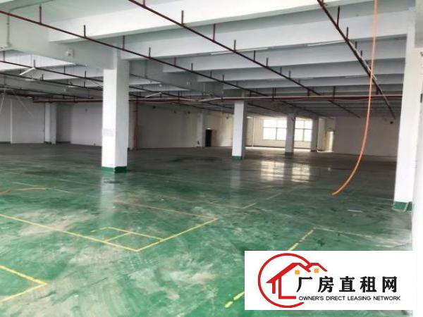  凤岗五联惊现楼上带精装修厂房3000平，可短租分租！