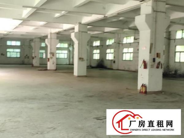  雁田南山工业城靠山边独院7000平方出租