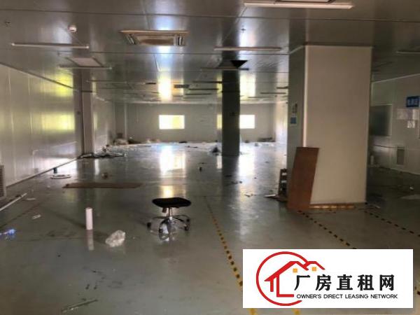  凤岗五联新出无尘车间1050平方