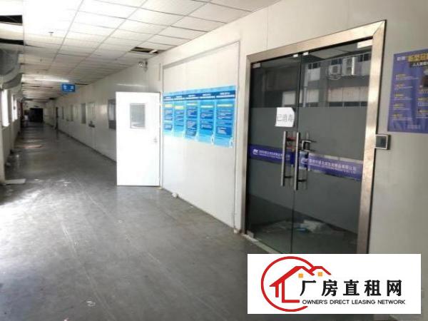  凤岗五联新出无尘车间1050平方