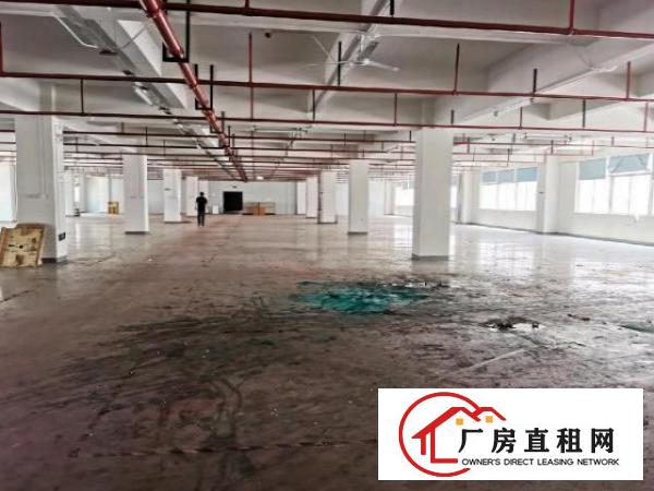  凤岗大型工业园厂房招租