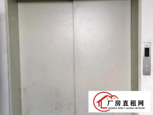  凤岗大型工业园厂房招租
