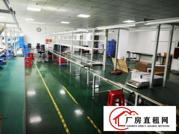  凤岗厂房，豪华装修，带水电，拎包入住，无公摊，600平