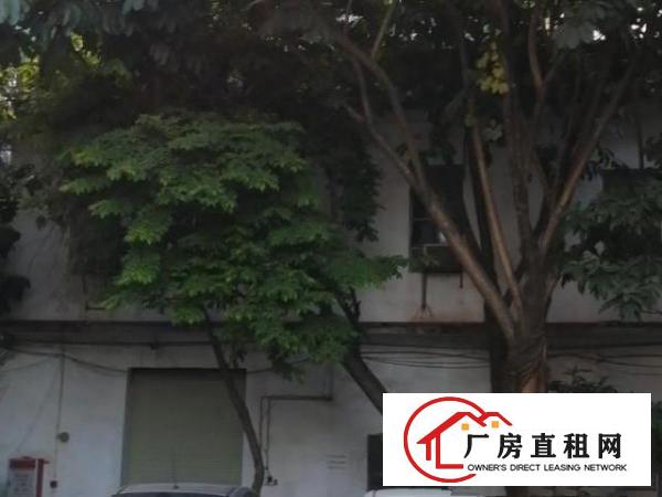  原房东分租，独门独院，只有二楼需分租，无电梯