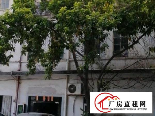  原房东分租，独门独院，只有二楼需分租，无电梯