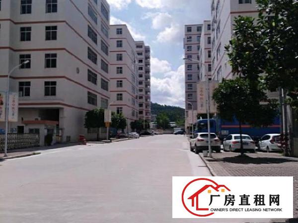  凤岗镇清溪路口3楼1600平方