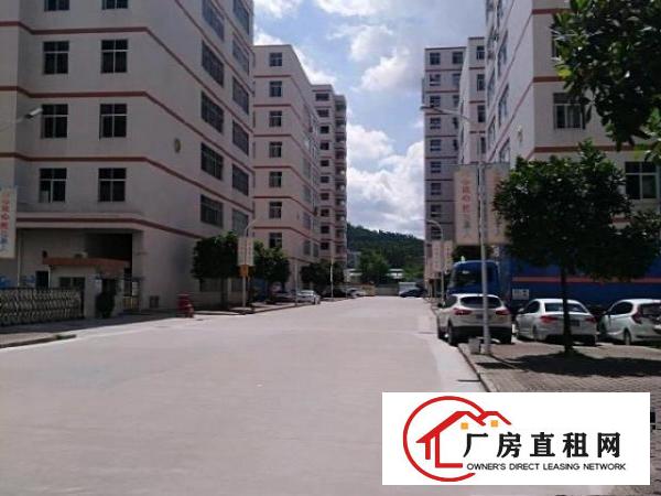  凤岗镇清溪路口3楼1600平方