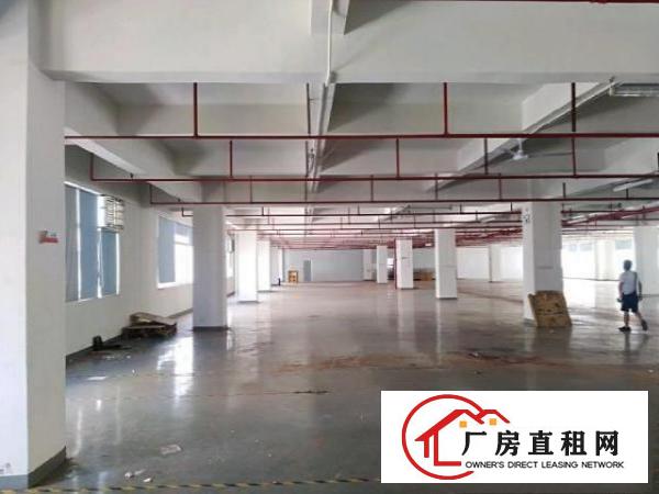  凤岗镇清溪路口3楼1600平方