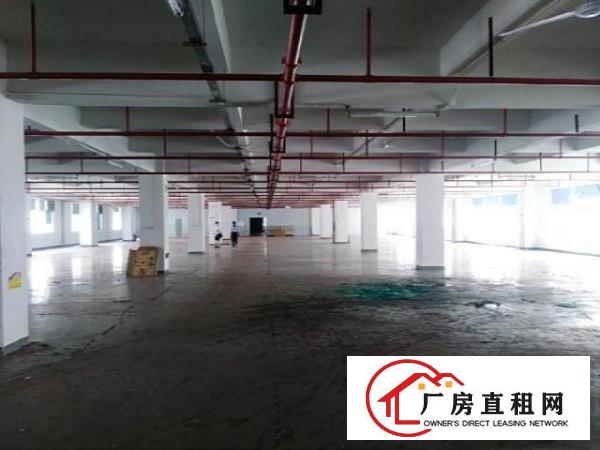  凤岗镇清溪路口3楼1600平方