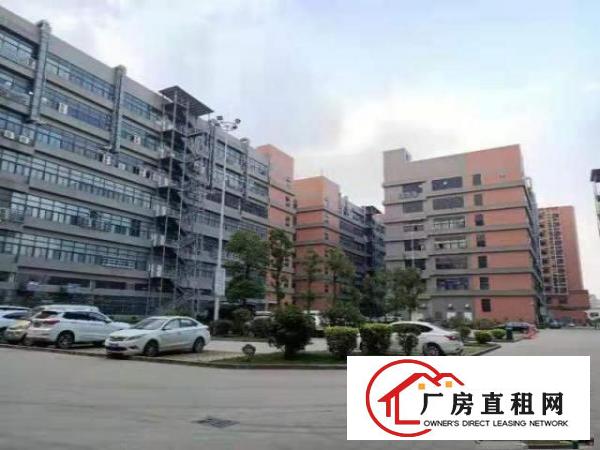  凤岗镇300平方至30000平方厂房出租不收中介费