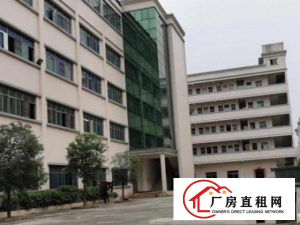  凤岗镇300平方至30000平方厂房出租不收中介费