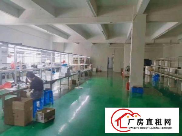  凤岗黄洞东深二线边上豪华5000平，可以分租！