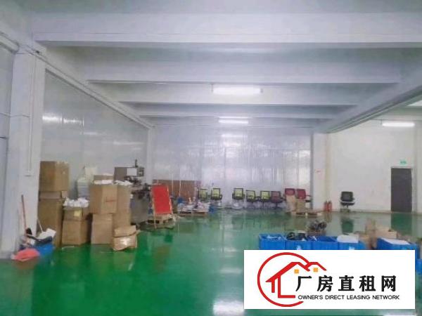  凤岗黄洞东深二线边上豪华5000平，可以分租！