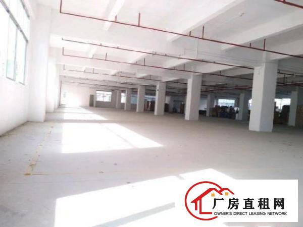  凤岗黄洞东深二线边上豪华5000平，可以分租！