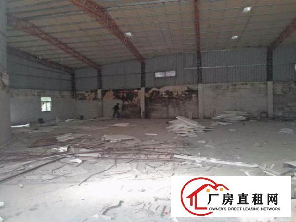  凤岗镇中心。。独院。独院。1000平方米。钢构厂房。招租