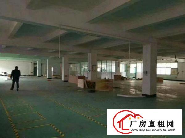  原房东噢！！凤岗有1500平方米标准一楼厂房！！不加公摊！！