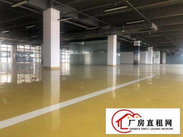 凤岗雁田原房东带精装修10000平可以分租