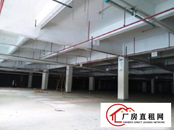 凤岗雁田原房东带精装修10000平可以分租