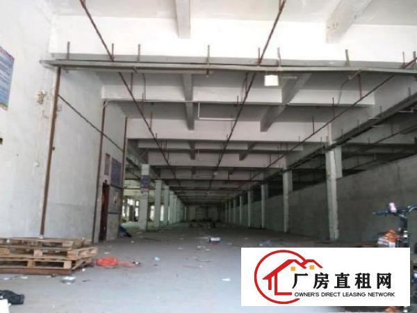 凤岗雁田原房东带精装修10000平可以分租