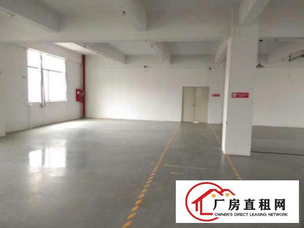  凤岗新出精装修电子厂房