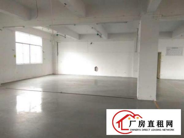  凤岗新出精装修电子厂房