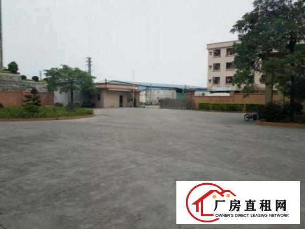  油甘埔精装修1500平方水电齐全