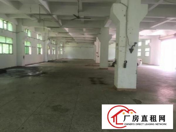  油甘埔精装修1500平方水电齐全
