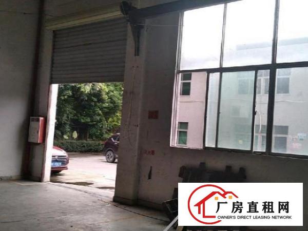  500平方一楼凤岗厂房
