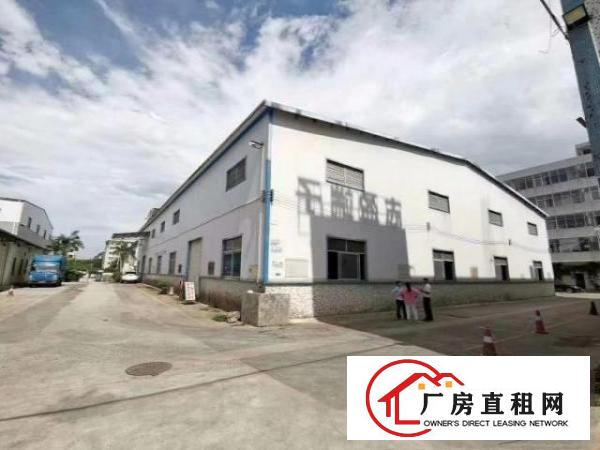  新空出钢构空地大独门独院