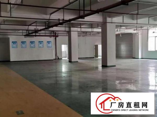  凤岗金凤凰精装修二楼1600平方出租。