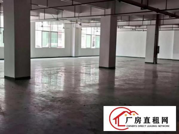  凤岗金凤凰精装修二楼1600平方出租。