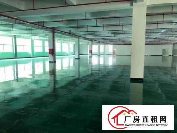  凤岗五联二楼全新带装修厂房出租