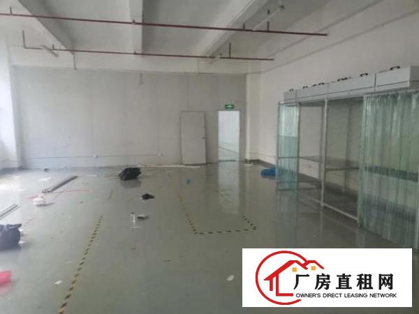  凤岗楼上带装修1100平方厂房出租