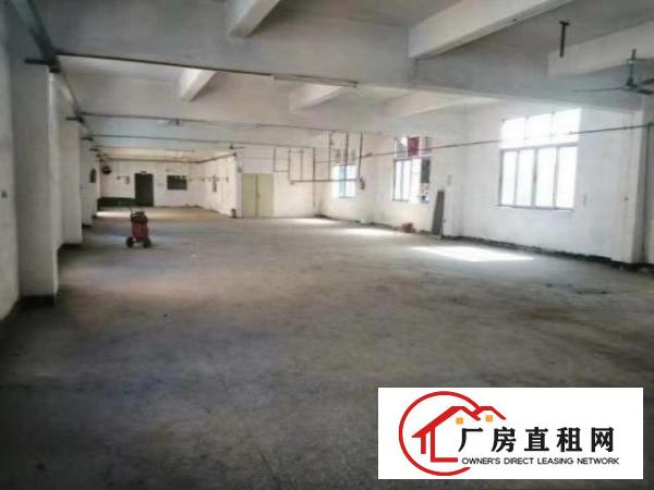  凤岗新出独门独院厂房