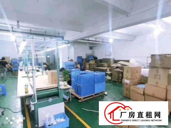  二楼500平方，全新地坪漆，氺电齐，好招工