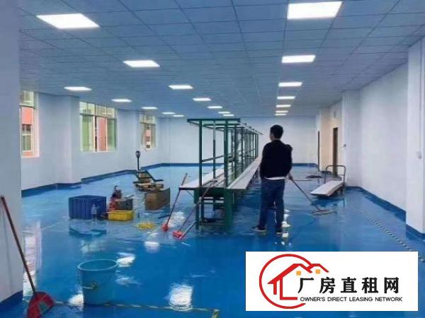  凤岗竹塘新出独院2900平方出租