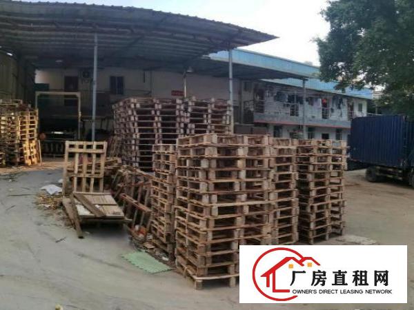  凤岗新出独门独院单一层钢构厂房