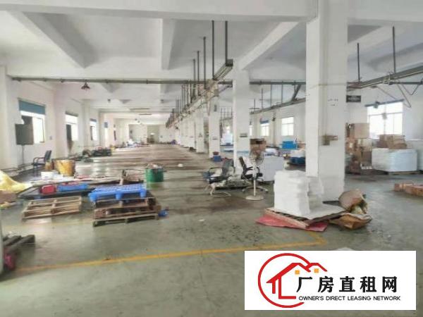  金凤凰成熟工业区原房东楼上1200平带装修