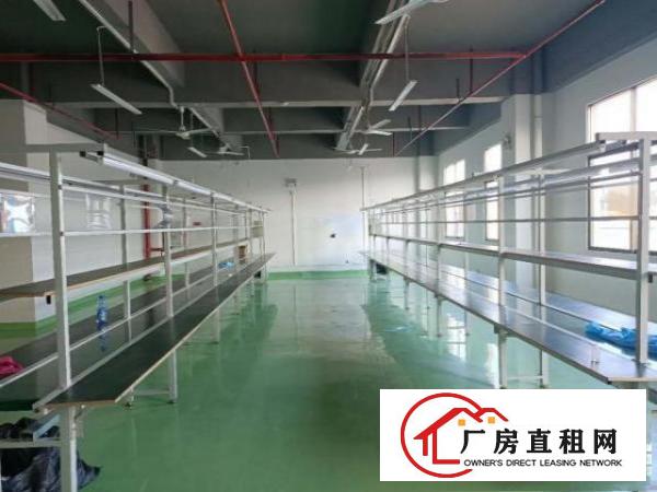  凤岗雁田布心精装修厂房出租700平水电齐全电子组装加工