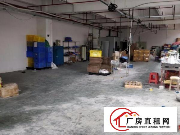  凤岗金凤凰小独门独院厂房出租2000平塑胶玩具五金