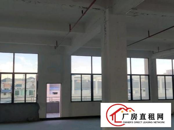  新空出原房东直签合同实用面积无公摊